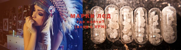 PSILOCYBIN Алзамай