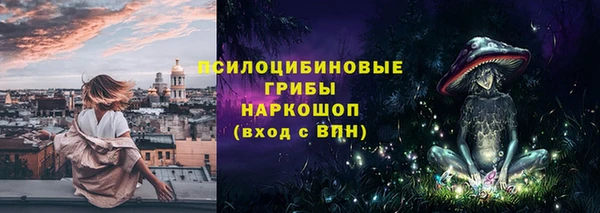 PSILOCYBIN Алзамай