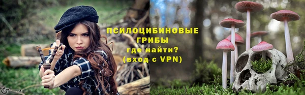 бутират Алексин