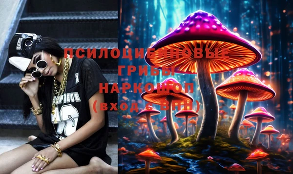 PSILOCYBIN Алзамай
