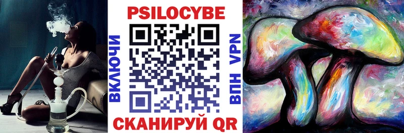 где купить наркотик  маркетплейс как зайти  Галлюциногенные грибы Magic Shrooms  Камешково 